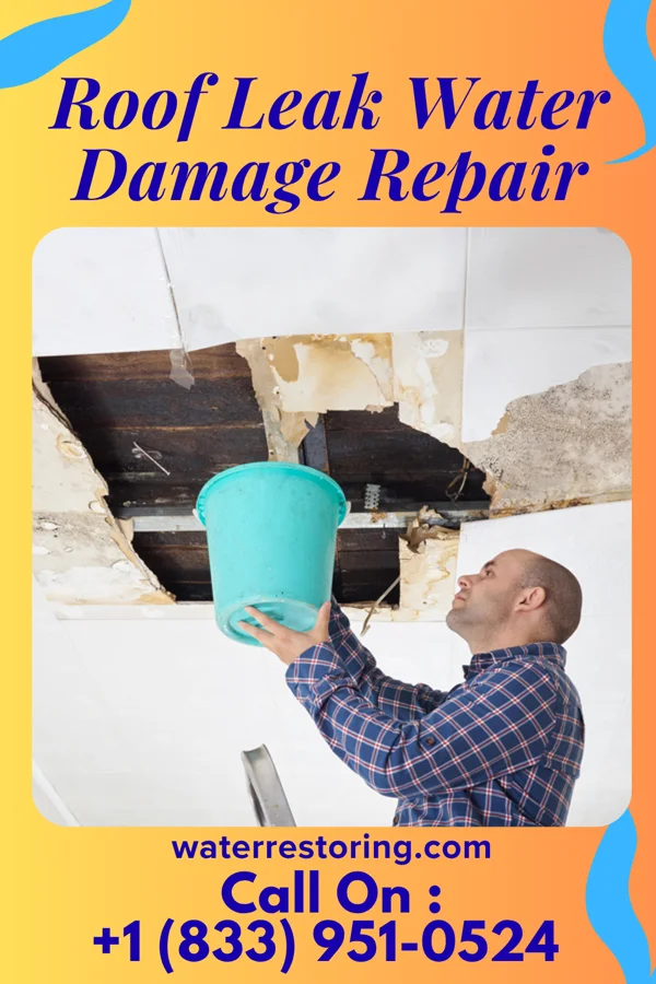 Roof Leak Water Damage Repair in Bucklin, MO